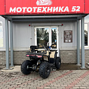 Квадроцикл APAKANI Hammer 200 L PREMIUM