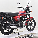 Мотоцикл Regulmoto SK 200-20 (черный)